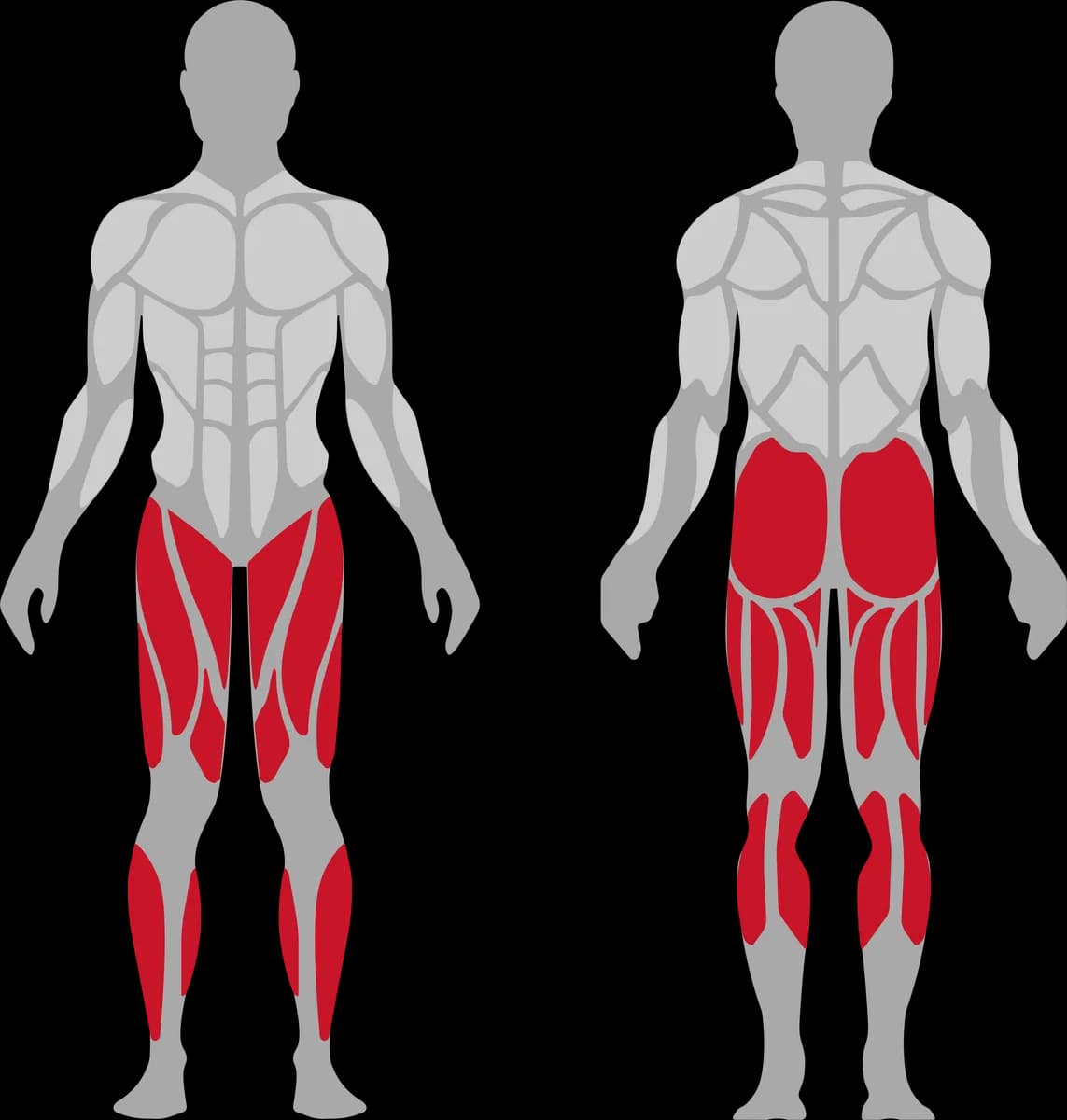 Extensión de Piernas - imagen 5