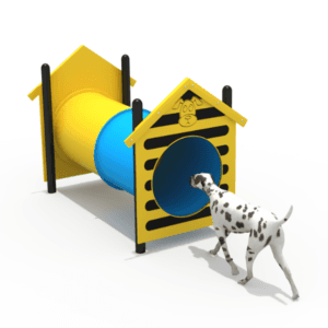 Categoría Equipo Complementario